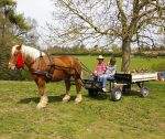 Avant-train hippomobile 2 roues mixte – Image 2