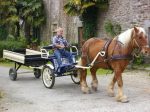 Avant-train hippomobile 2 roues mixte