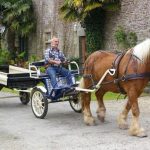 Avant-train hippomobile 2 roues mixte