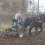 Avant-train hippomobile 2 roues ʺle robusteʺ version cultivateur