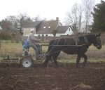 Avant-train hippomobile 2 roues ʺle robusteʺ version cultivateur – Image 4