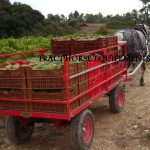 Plateau hippomobile de vendanges traction animale