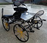 Calèche marathon sport poney