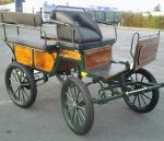 Calèche wagonnette loisir 6 places finition bois vernis