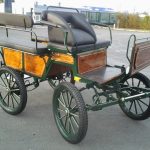Calèche wagonnette loisir 6 places finition bois vernis
