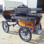 Calèche wagonnette loisir 6 places taille cheval – Image 3