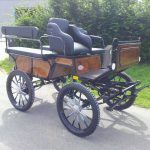 Calèche wagonnette loisir 6 places avec siége meneur