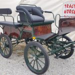 Calèche wagonnette loisir 6 places freins à disques arrière
