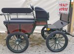 Calèche wagonnette loisir 6 places freins à disques arrière – Image 2