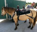Bât de randonnée pour cheval – Image 2