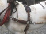 Harnais de traction en cuir – Image 3