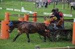 Calèche marathon sport type L  poney C – Image 5
