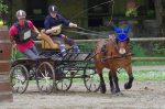 Calèche marathon sport type L  poney C – Image 6
