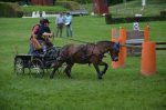Calèche marathon sport type L  poney C – Image 7