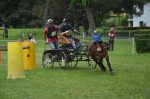 Calèche marathon sport type L  poney C – Image 8
