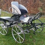Calèche marathon sport type L  poney C