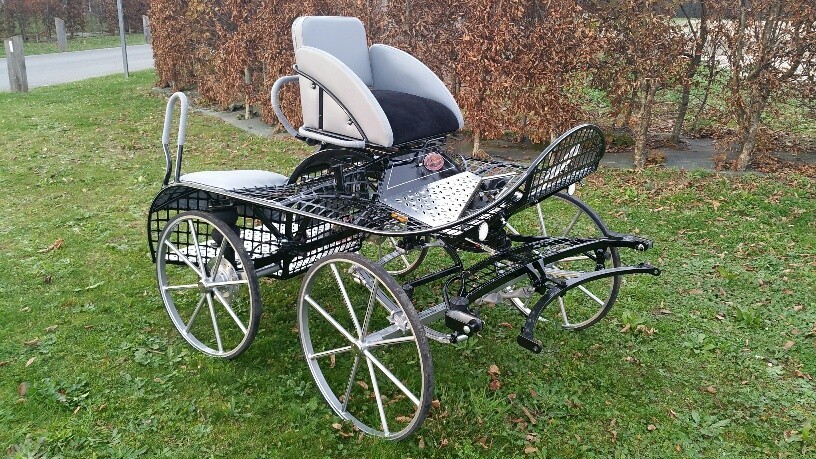 product-1194-4214 Calèche marathon sport type L poney C – Image 1