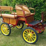 calèche wagonnette 6 places roues pneumatiques