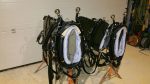 Harnais d'attelage paire ânes et mules – Image 4