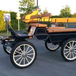 Calèche marathon loisir roues indépendantes