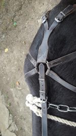 harnais d'attelage cuir pour ane en paire – Image 4