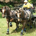harnais d'attelage zilco classic – Image 8