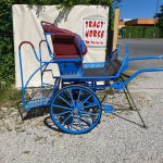 calèche deux roues avec équilibrage – Image 2