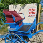 calèche deux roues avec équilibrage – Image 5