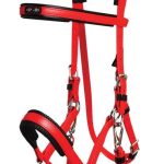 bridon licol rouge zilco