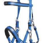 bridon licol bleu roi zilco