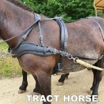 harnais en paire bricole anatomique – Image 2