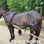 harnais en paire bricole anatomique – Image 3