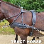 harnais en paire bricole anatomique – Image 5
