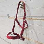 licol percheron