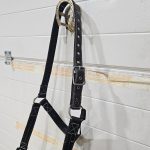 licol extra fort – Image 4