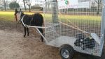 Chariot hippomobile de collecte – Image 2