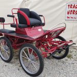 Calèche marathon loisir mixte sport