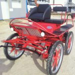 Calèche marathon loisir mixte sport un cheval