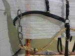 Harnais avec collier de travail pour âne – Image 4