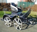 Calèche marathon sport modèle TREC paire cheval