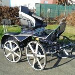 Calèche marathon sport modèle TREC paire cheval