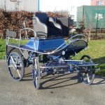 Calèche marathon sport type F 2 ou 4 poney D