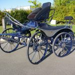 Calèche marathon sport type R 1 cheval