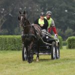 Calèche marathon sport type R 1 cheval – Image 6