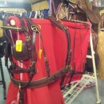 Harnais attelage cuir promenade paire