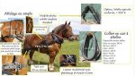 Harnais d'attelage à collier – Image 2