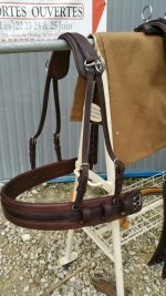 Harnais attelage cuir médium simple – Image 2