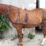 Harnais attelage synthétique doublé alvéolaire bricole droite simple