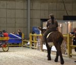 Selle islandaise en cuir pour âne – Image 3