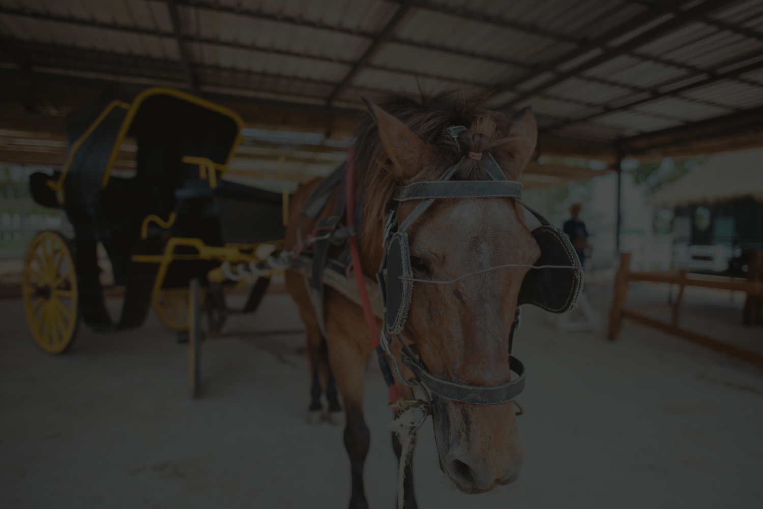 Tracthorse équipement